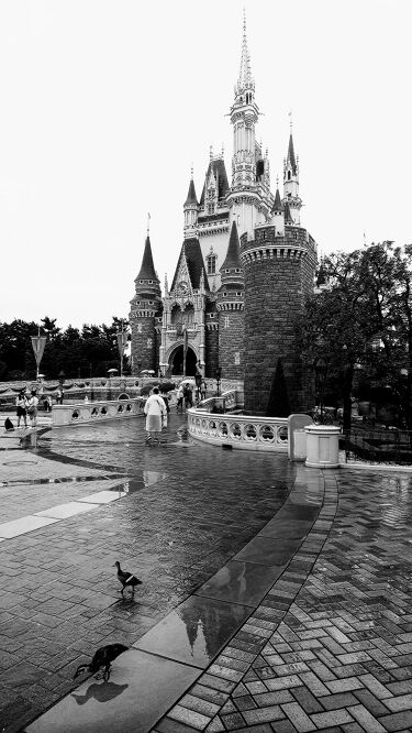 ハンドジェルセット 東京ディズニーリゾートの口コミ 先日 家族旅行で念願のディズニーランドに行 By ふわり 敏感肌 代後半 Lips