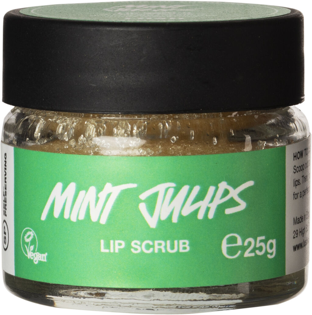 試してみた ミントフレーバー リップスクラブ ラッシュのリアルな口コミ レビュー Lips