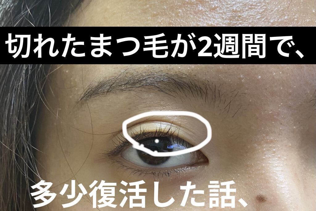 ラッシュジェリードロップ Majolica Majorcaの効果に関する口コミ 今回は私のまつ毛事情についてお話します 先 By ている 脂性肌 10代後半 Lips