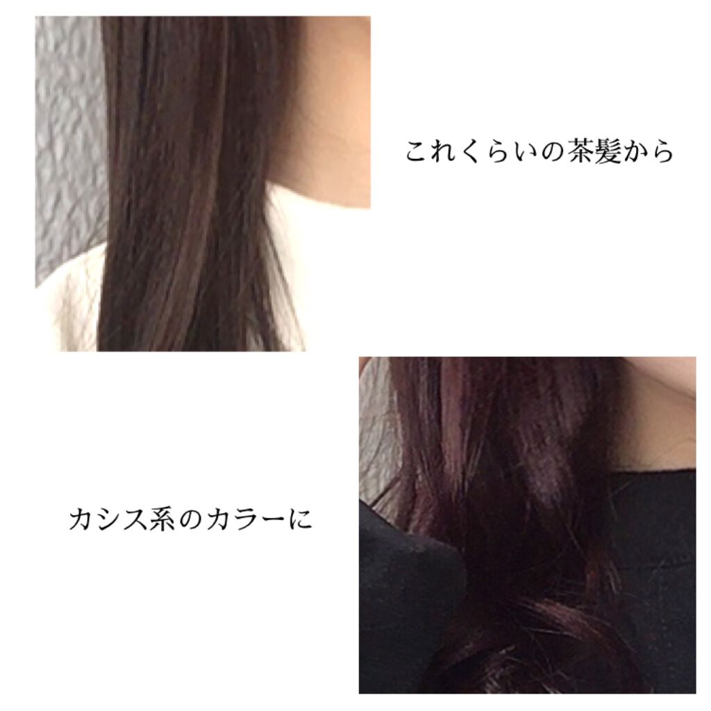 Ancels Color Butter エンシェールズの使い方を徹底解説 痛ませずにセルフカラー 茶髪からカシス系の By ぐば子のお道具箱 乾燥肌 Lips
