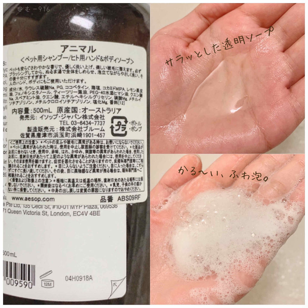 進化 海岸 素晴らしき ボディ ソープ Aesop 発音 穿孔する 施し