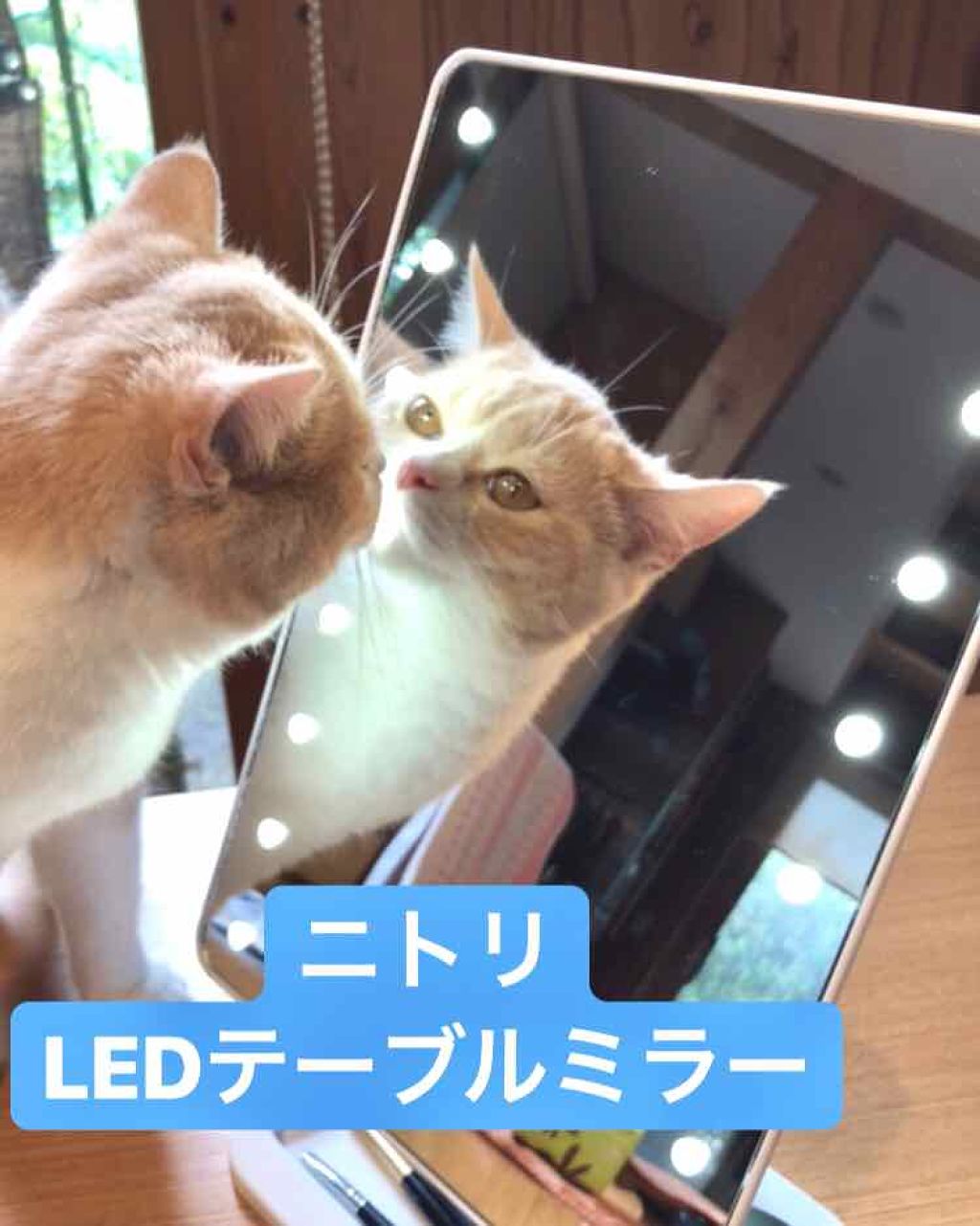 Ledライトミラー As 0678 ニトリの口コミ ニトリledテーブルミラー 顔全体に白光 By 日々是担々麺 代前半 Lips