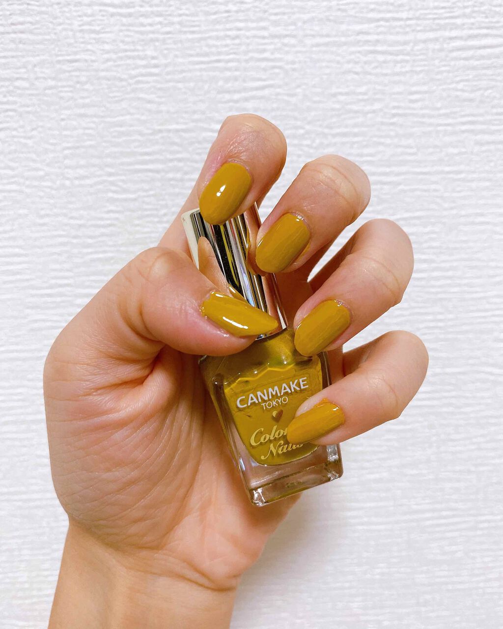 :mustard×black: