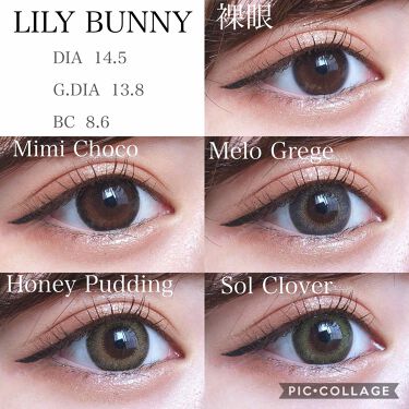 Lily Bunny Lily Annaのカラコンレポ 着画口コミ カラコン Lilyanna J By Rei 混合肌 10代後半 Lips