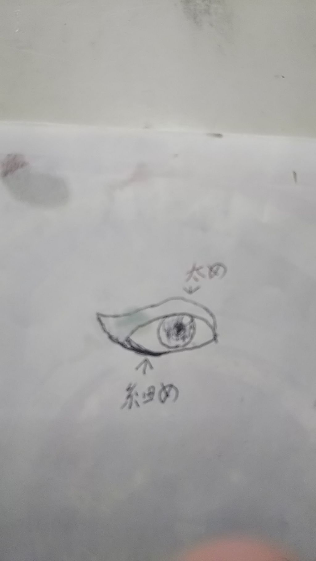 アウト ライン Mary Quantの口コミ だいぶ変えましたがカラコンは青を使うといい By カイラ 敏感肌 10代前半 Lips