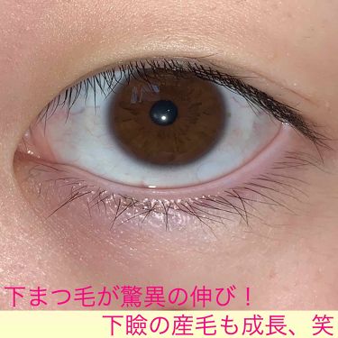 ブランド直営 本当に伸びた 二重になった リピーター様からの驚きの声プレミアムまつ毛美容液6本 全日本送料無料