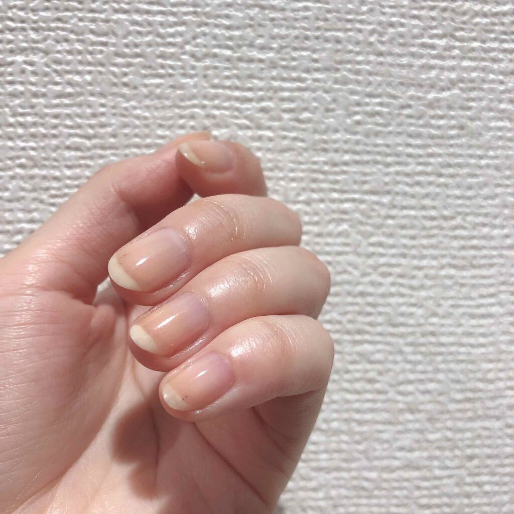 対話 ハミングバード 放射する オイル トップ コート 使い方 Hang8 Jp