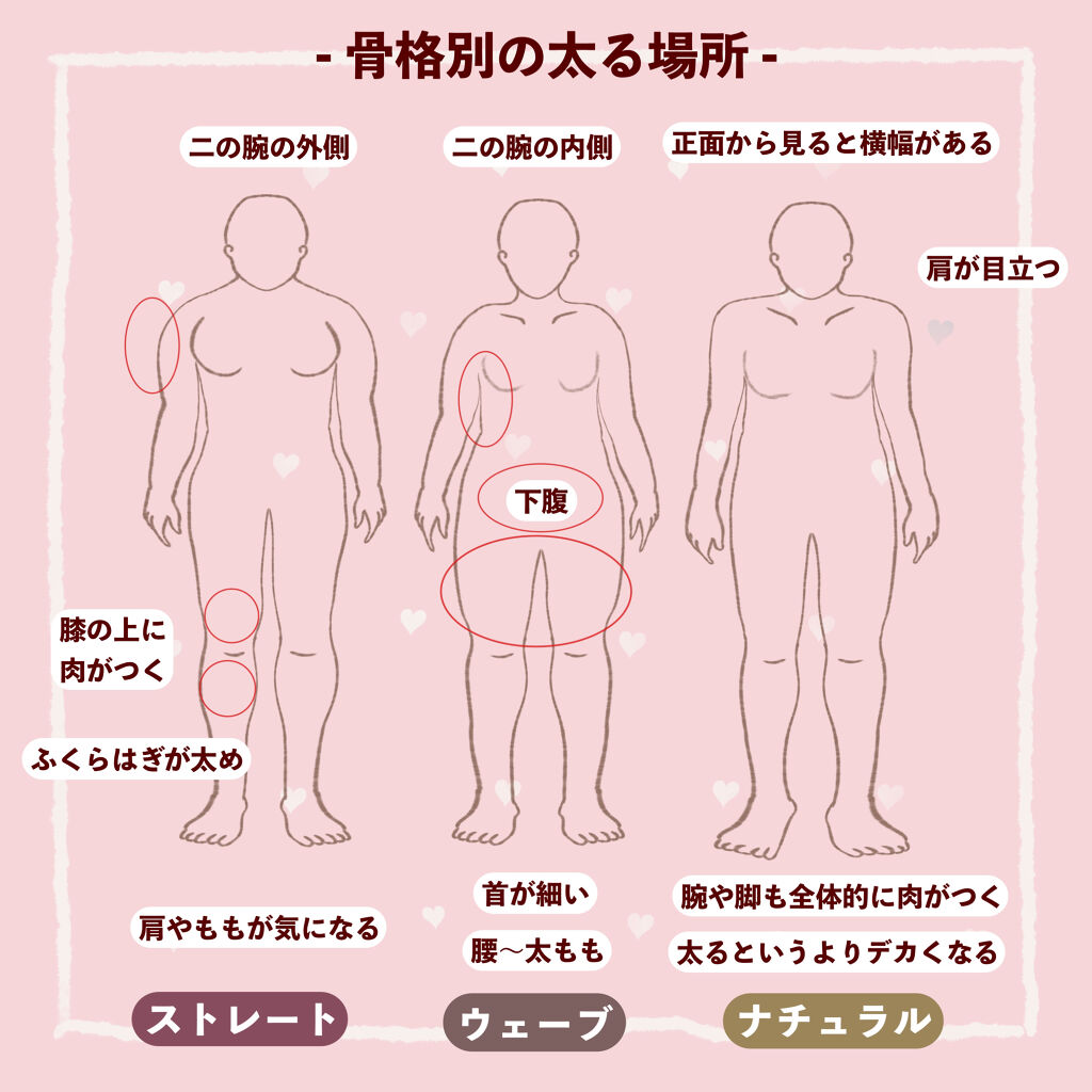 上半身太り 骨格