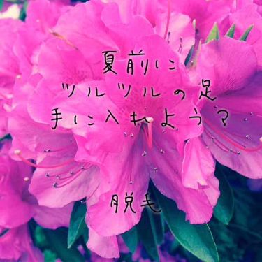 脱毛エステ ハニーワックス脱毛 エピラットのリアルな口コミ レビュー Lips