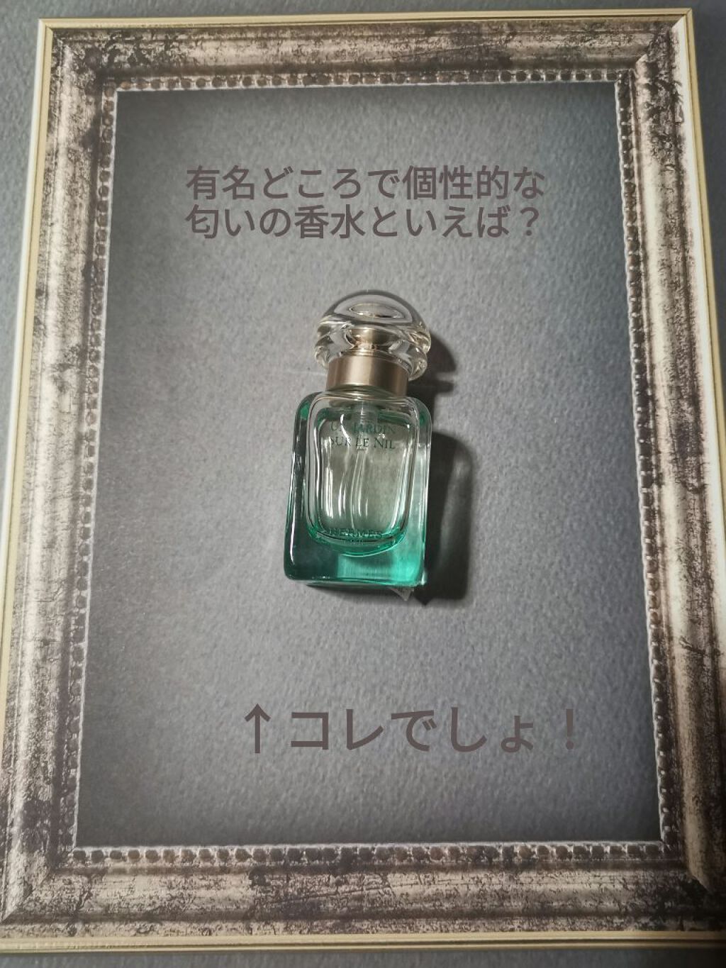 ナイルの庭 オードトワレ ナチュラルスプレー エルメスの口コミ あいらです 今回は有名どころで個性的な匂い By あいらはん 混合肌 30代後半 Lips