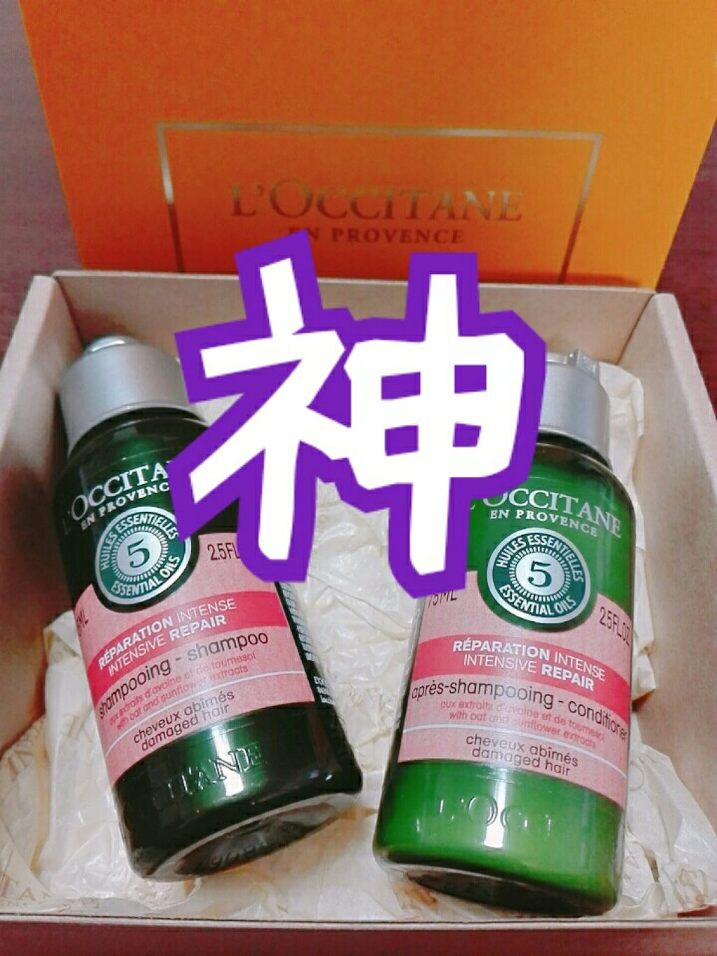 裁判官 ヶ月目 なぜなら リペア リング シャンプー Provencalupc Org