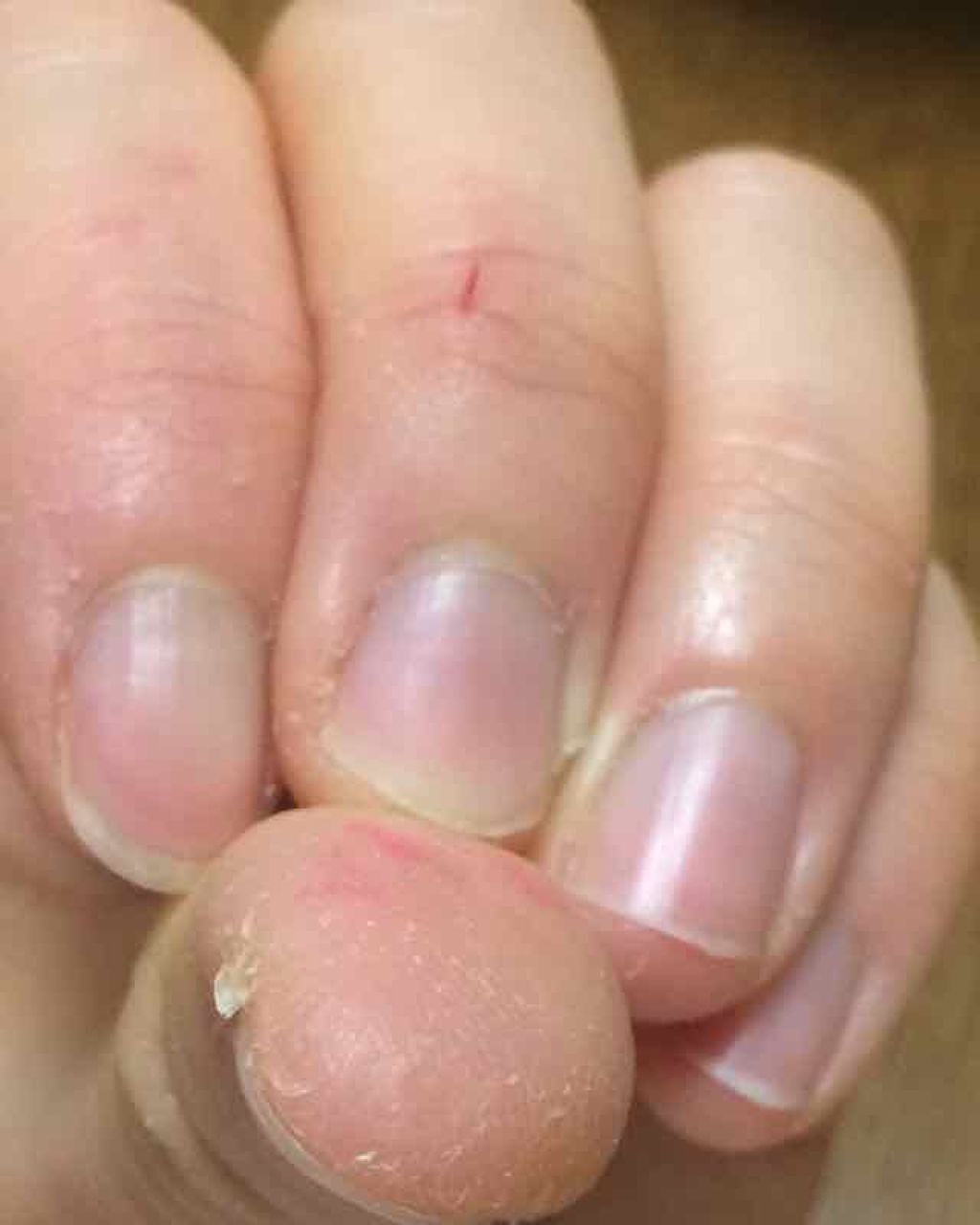 ローズ ベルベットハンド ネイルクリーム L Occitaneを使った口コミ ハンドクリーム水仕事をしているため冬場は手 By まみこ 記録用 混合肌 代後半 Lips