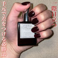 ヴェルニ ロング トゥニュ 500 ルージュ エサンシエル Chanel シャネル Lips