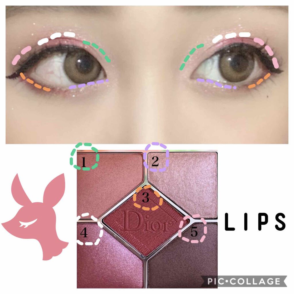 Flanmy 1day Flanmyを使った口コミ Diorサンク879メイク 1 2枚目 By Sacha 混合肌 Lips