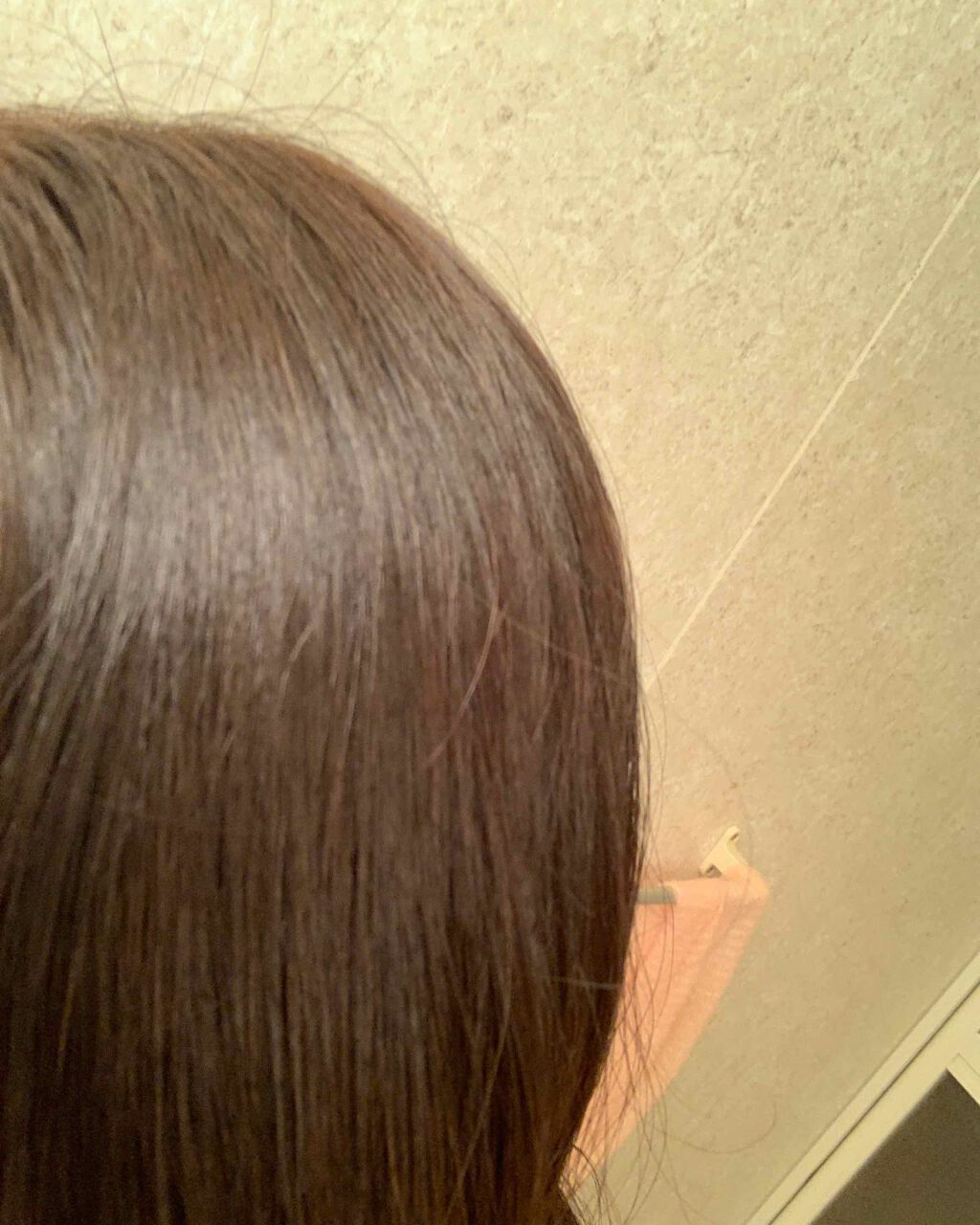 泡カラー 医薬部外品 リーゼの口コミ リーゼ泡カラー ブリティッシュアッシュ By ぺぺこ 混合肌 代前半 Lips