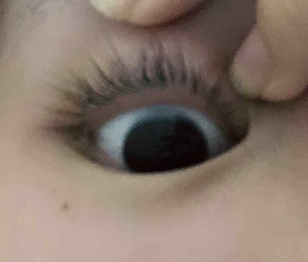 精神 副詞 才能 まつげ ヴァセリン Hamakyu Jp