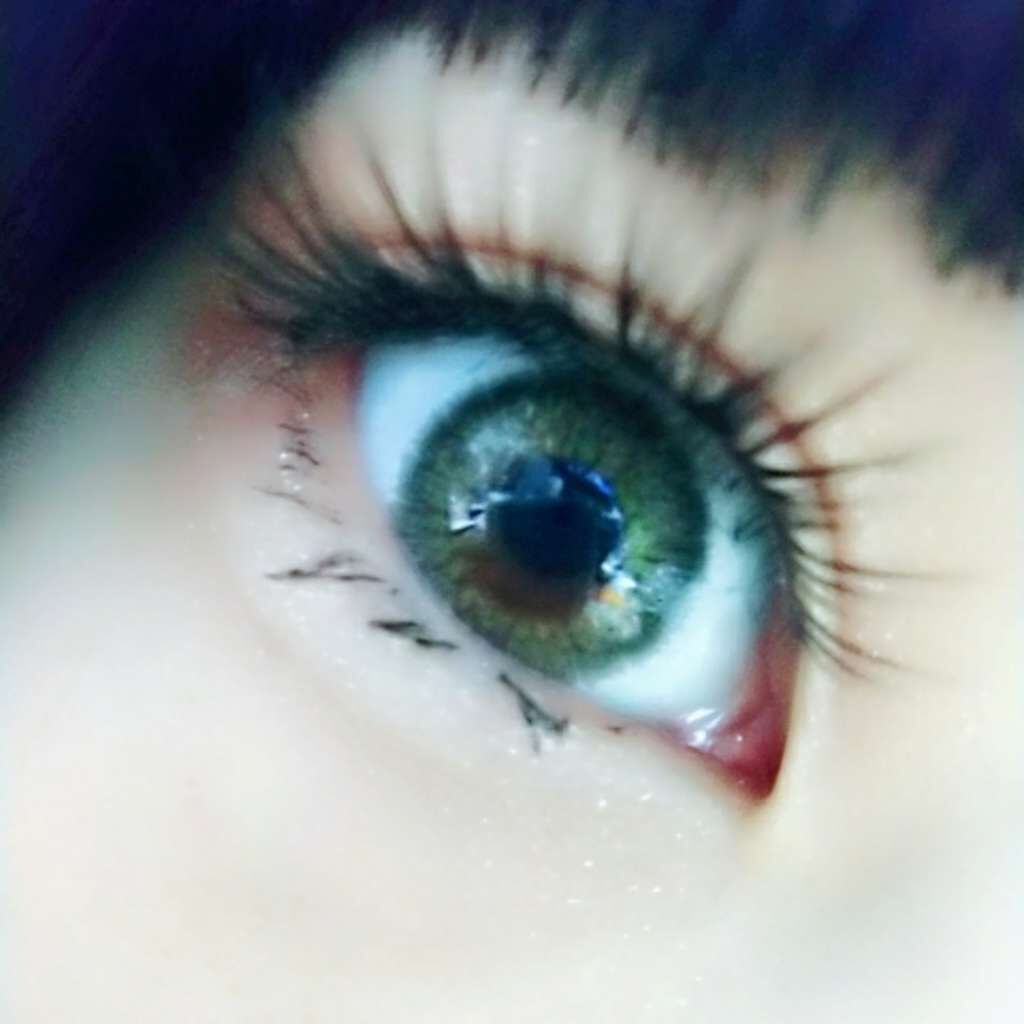 ディズニー ロマンティックシリーズ Sho Biの口コミ ディズニーロマンティックシリーズno 5ス By あき 普通肌 代前半 Lips