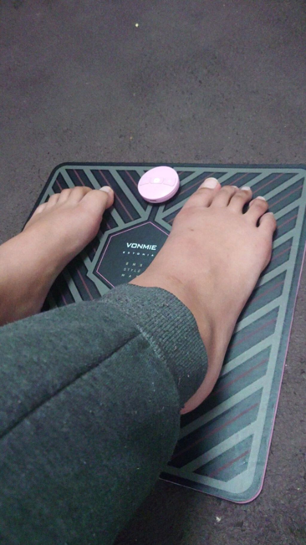 Ems Style Mat イーエムエススタイルマット Vonmieを使った口コミ 脚やせ Vonmieはじめました みなさ By ゆかぽん 乾燥肌 代前半 Lips