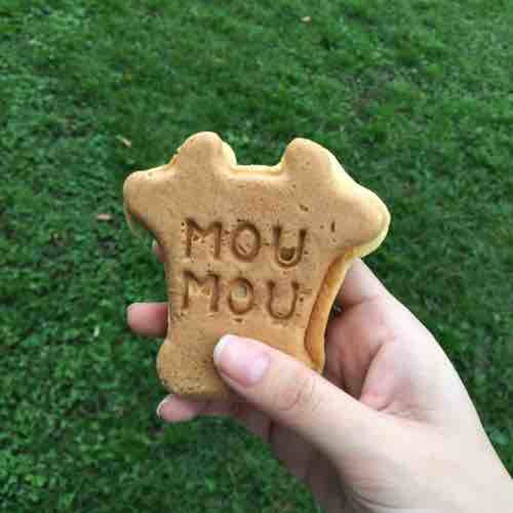 🐄mow-co🐄