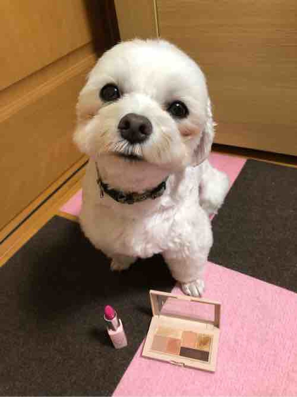 ゆいちん