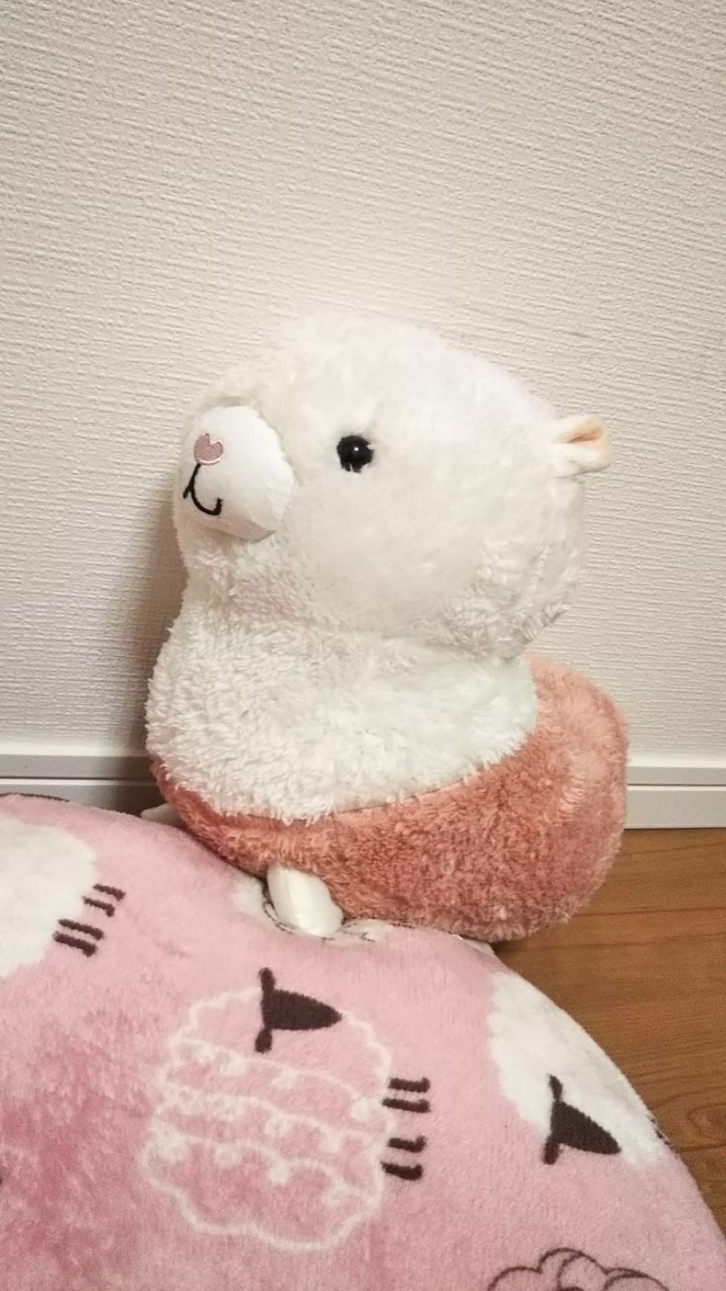 なーさん(*´∀`)