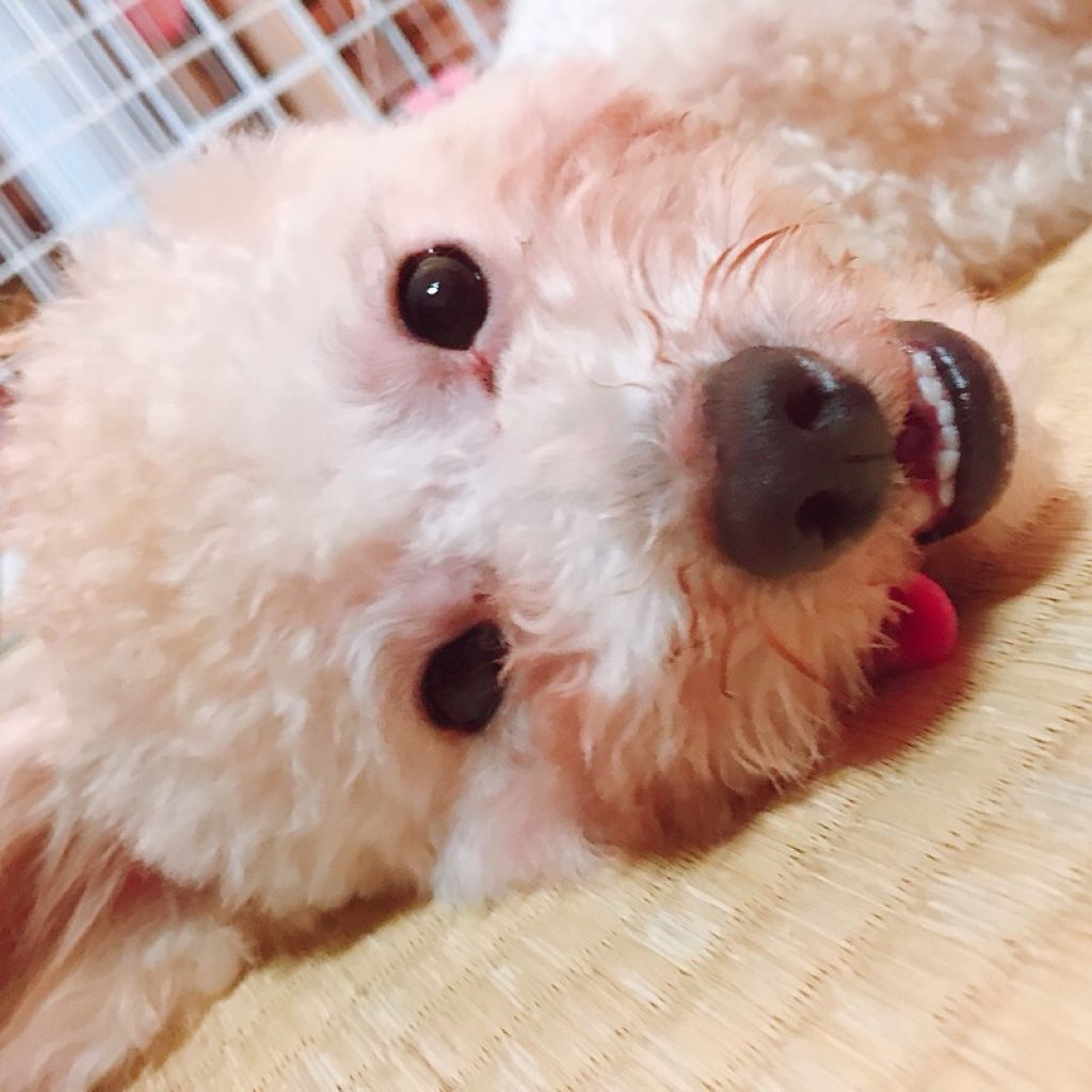 みな