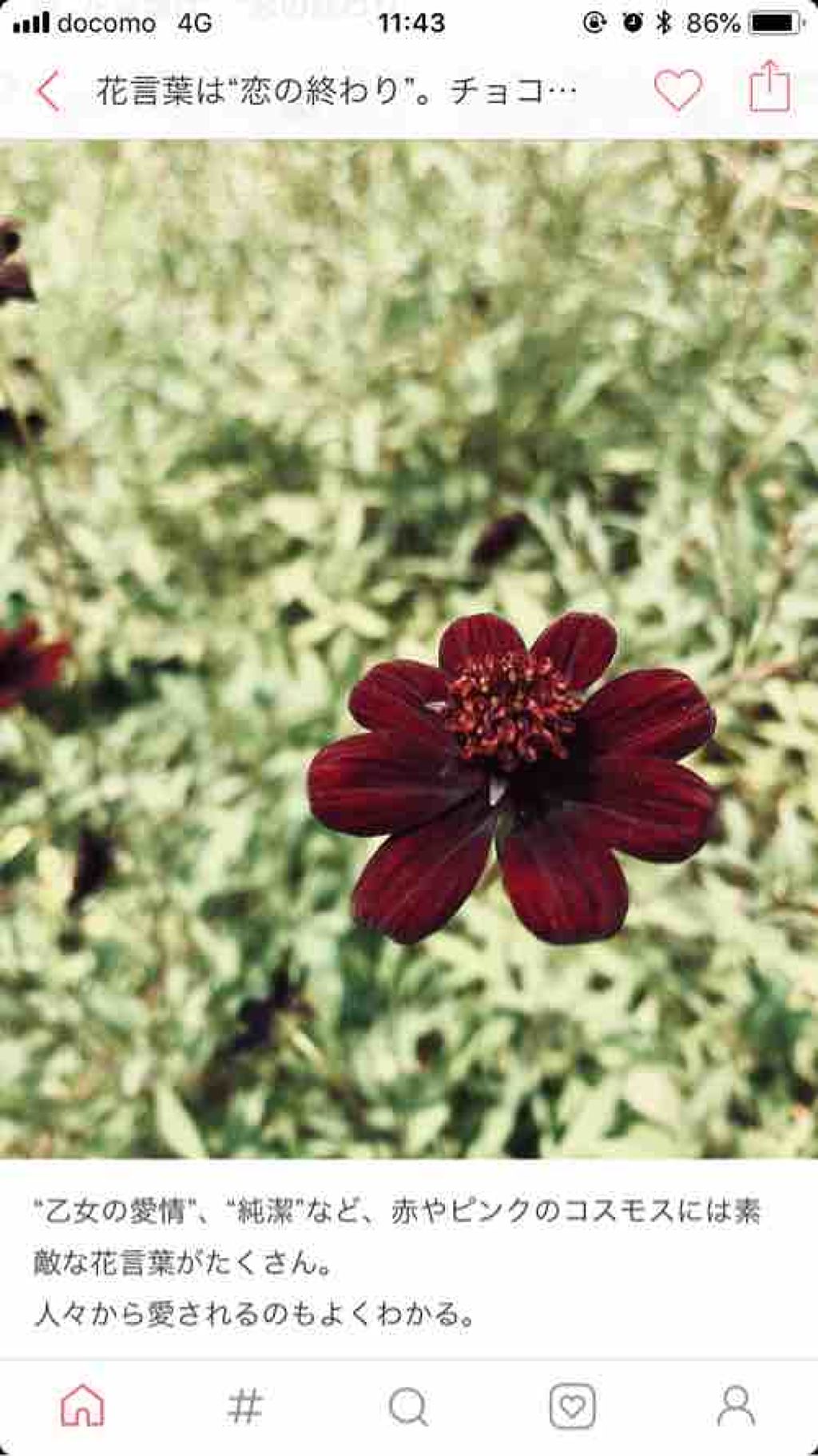 Revia 1day Reviaのカラコンレポ 着画口コミ レヴィアワンデー プライベート02 カラコ By Shiny Cosme Ds8g 混合肌 代前半 Lips