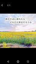 自己紹介 雑談の口コミ 恋バナ こんにちは 花音です 妄想小説 By 嵐ヲタクの華乃 普通肌 10代前半 Lips